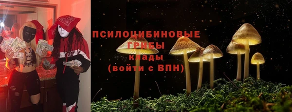 прущая мука Карпинск