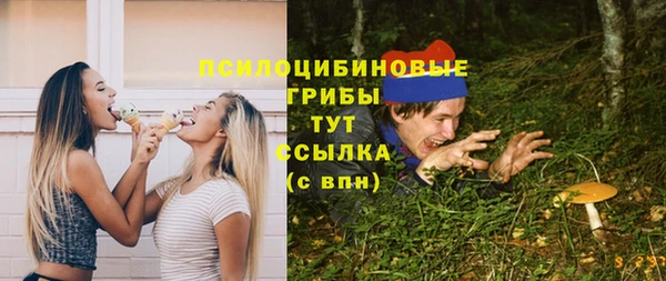 прущая мука Карпинск
