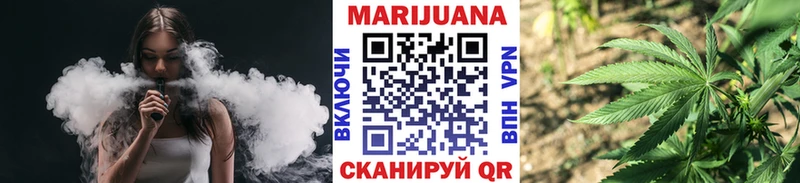 Бошки марихуана семена Купить где Канск